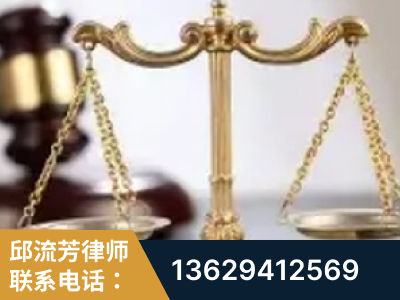 海西蒙古族-委托诉讼代理人出庭